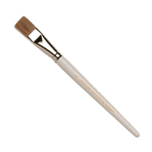 Essential Guide To Choosing The Right Paint Brush